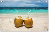 Tuindecoratie Kokosnoten Caribisch strand - 60x40 cm - Tuinposter - Tuindoek - Buitenposter