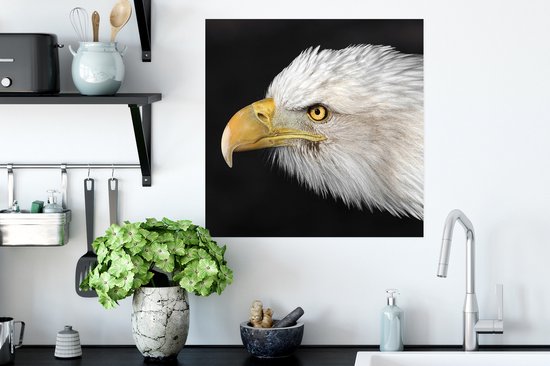 Poster Aigle - Vogel - Bec - Yeux - 50x50 cm