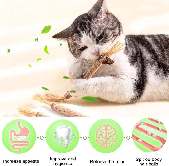ZLXFT Kattenkruidstokken, matatabi-kauwstokjes, kauwen