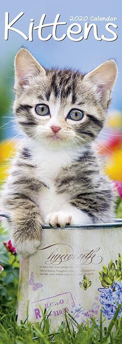 Kittens Slimline Kalender 2020