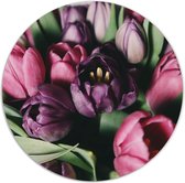 Label2X - Muurcirkel - Tulpen - Ø 60 cm - Dibond - Multicolor - Wandcirkel - Rond Schilderij - Bloemen en Planten - Muurdecoratie Cirkel - Wandecoratie rond - Decoratie voor woonkamer of slaapkamer