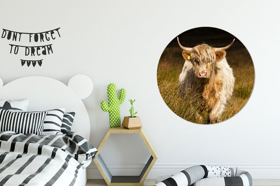 WallCircle - Muurstickers - Behangcirkel - Schotse Hooglander - Licht - Gras - Dieren - 100x100 cm - Muurcirkel - Zelfklevend - Ronde Behangsticker XXL