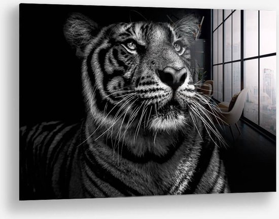 Wallfield™ - B&W Tiger | Glasschilderij | Gehard glas | | Magnetisch Ophangsysteem