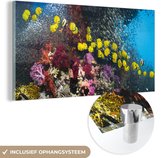 MuchoWow® Glasschilderij 120x60 cm - Schilderij acrylglas - Kleurrijk koraalrif met vissen - Foto op glas - Schilderijen