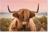 Affiche de jardin Vache - Highlander écossais - Animal - 120x80 cm - Jardin
