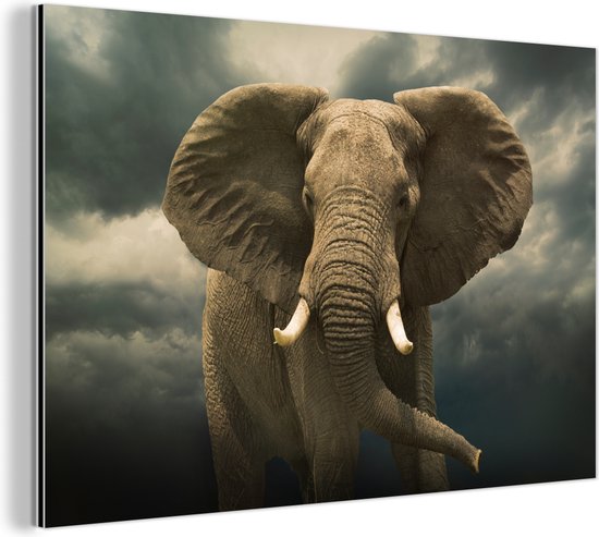 Wanddecoratie Metaal - Aluminium Schilderij Industrieel - Afrikaanse olifant tegen de donkere wolken - 60x40 cm - Dibond - Foto op aluminium - Industriële muurdecoratie - Voor de woonkamer/slaapkamer