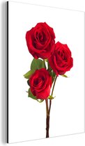 Décoration murale Métal - Aluminium - Roses - Fleurs - Rouge - 60x80 cm
