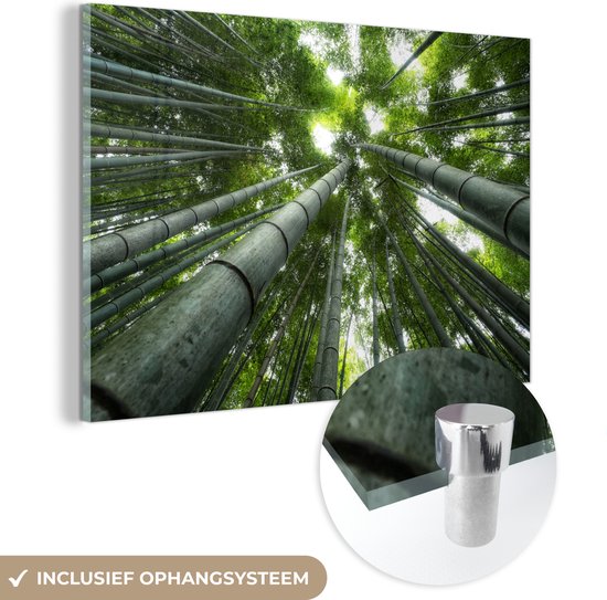 MuchoWow® Peinture sur Verre - Sommet de la Forêt - 90x60 cm - Peintures sur Verre Acrylique - Photo sur Glas