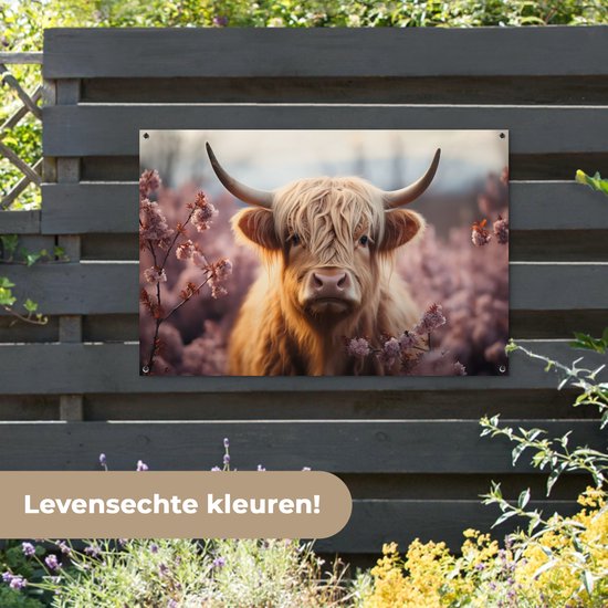 Een bruine Schotse hooglander met lange, golvende vacht, omringd door roze bloesems. Tekst: Levenschte kleuren!