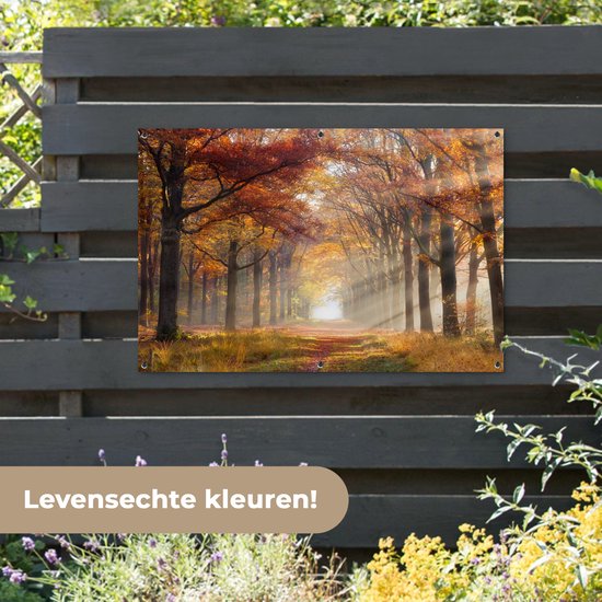 Affiche de jardin Automne - Forêt - Arbre - 120x80 cm - Jardin