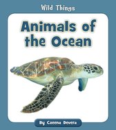 Wild Things - Animals of the Ocean