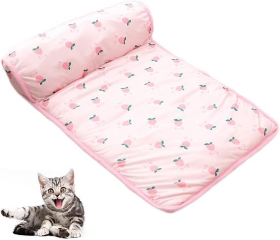 Allecto Plus - Tapis rafraîchissant pour animaux de compagnie | kussen auto-rafraîchissant pour chiens et chats | Couverture rafraîchissante d'été pour chien | 60 x 40 cm | Climatiseurs pour votre animal de compagnie