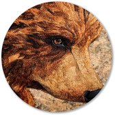Realistische close-up van berenkop - Beer muurcirkel - Ronde wandprint oog - Hyperrealisme - Forex cirkels aan de muur - Wand kunst - Muurcirkel forex 40x40 cm