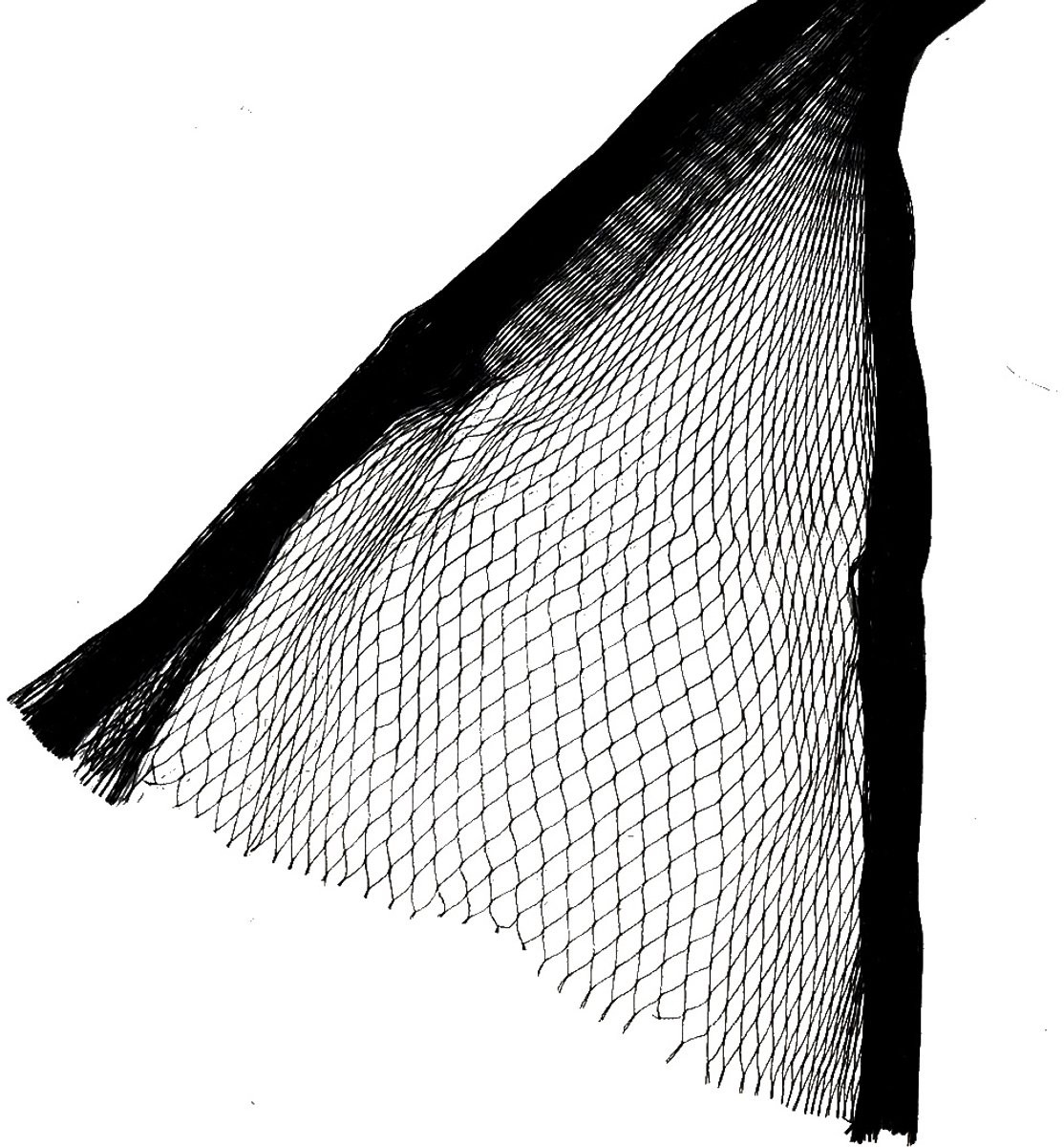 Vogelnet - 5 x 5 meter - 22 mm maas - Zwart
