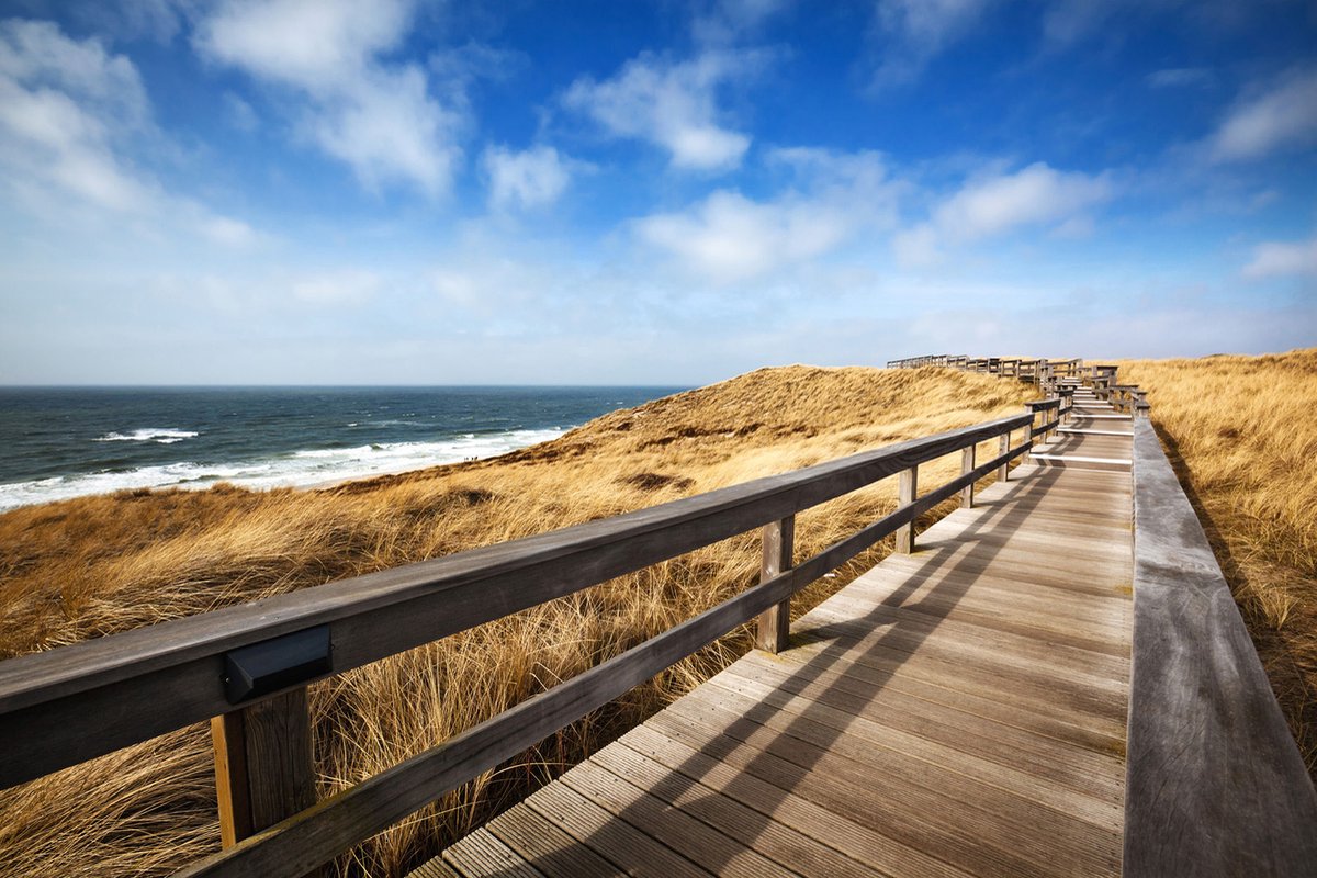 Fotobehang duinen en strand in beige blauw