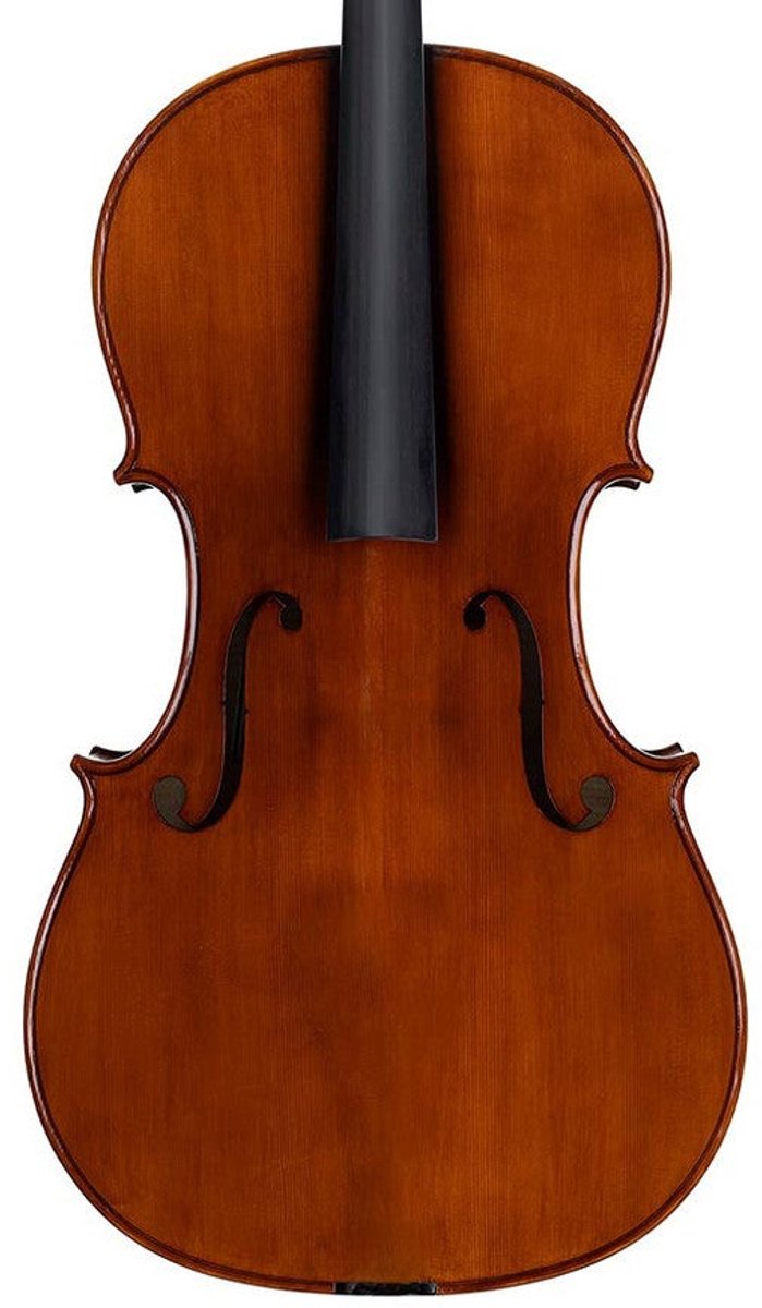 Rudolph RC-EU-30 Virtus European Stoica workshop cello 4/4