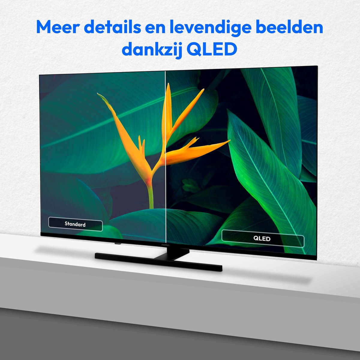 MEDION 108 cm (43") QLED TV (Google TV, 4K, Dolby Vision HDR, Netflix, Prime Video, Disney+, Dolby Atmos, DTS X, Smart TV, PVR, Bluetooth, MD 843700) thumbnail 3