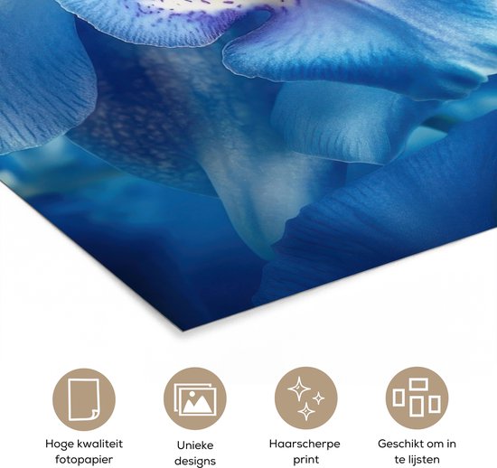 Poster 60x90 cm - Blauw - Orchidee - Elegeant - Posters - Kamer decoratie - Wanddecoratie woonkamer - Muurdecoratie slaapkamer