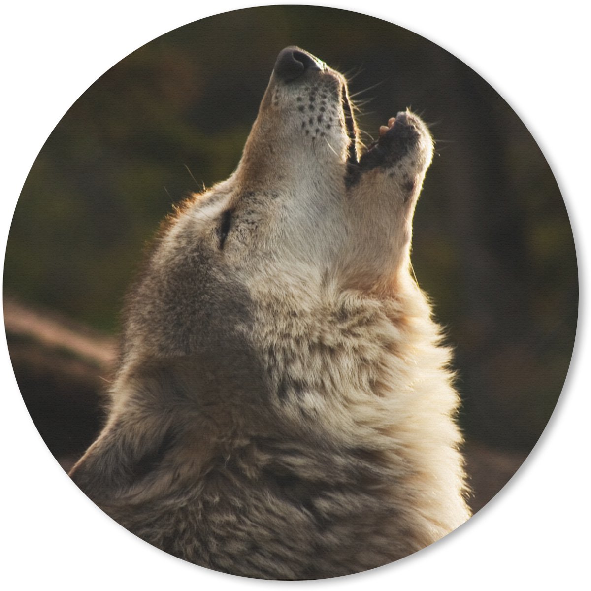 Muismat rond 40x40 cm - Mousepad Wolf - Grijs - Dieren - Ronde muismatten