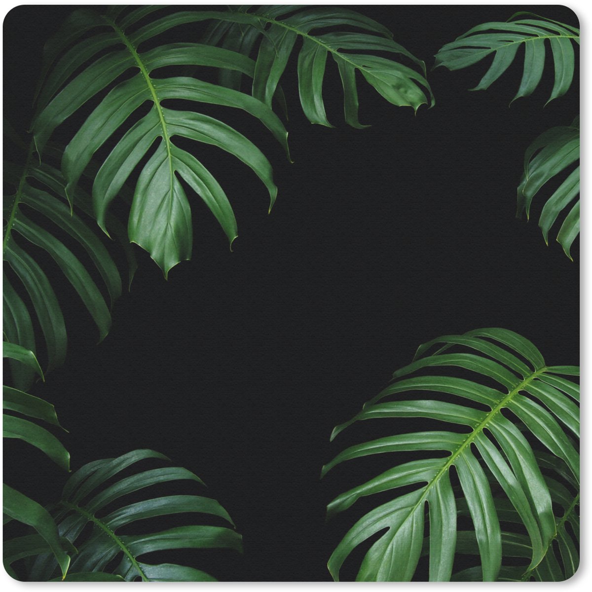 Muismat 30x30 cm - Mousepad Jungle - Planten - Monstera - Jongens - Meisjes - Kinderen - Muismatten