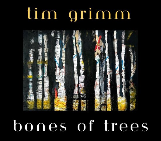 Albumhoes met de tekst "tim grimm bones of trees" boven en onder een schilderij van zwarte, verticale lijnen met daartussen fragmenten van tekst en kleur.