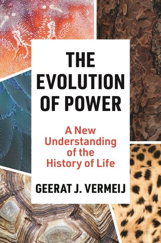 The Evolution of Power - cover