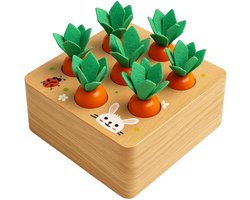 Montessori Houten Wortel Spel voor Peuters | Educatief Vormenspel & Sorteerspel | Verf op Waterbasis Getest | Motoriek Speelgoed vanaf 1 Jaar | Sinterklaas Cadeau | Kerstcadeau | Jongens & Meisjes