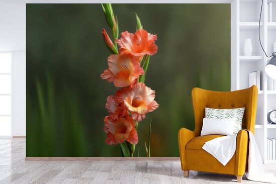 Behang - Fotobehang Bloem - Gladiolen - Zalmroze - Breedte 350 cm x hoogte 260 cm