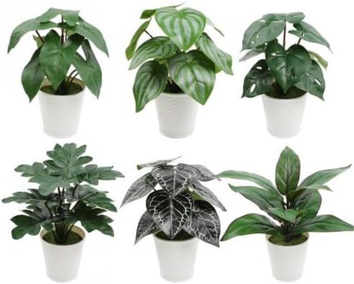 BOG Kunstplanten In Pot 26 cm - Nepplant Voor Binnen En Buiten - Kunstplanten Van Plastic - Decoratie Voor Thuis En Woonkamer GROEN WIT