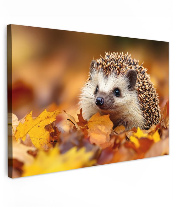 Egel tussen herfstbladeren, detailopname.
