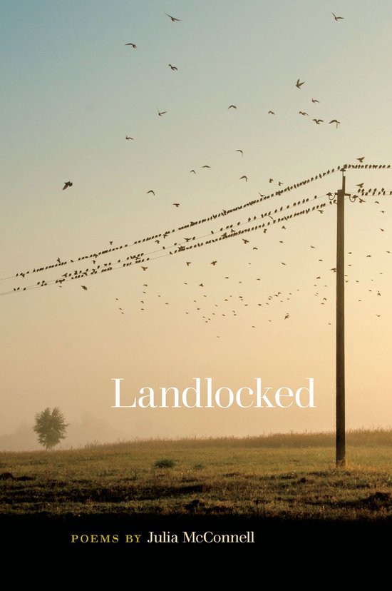 Wheelbarrow Books - Landlocked - cover