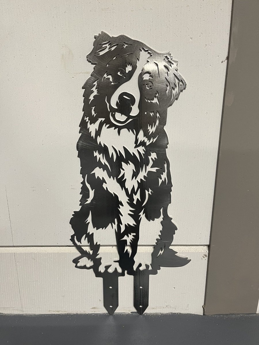 Metalen hond - Australian shepherd - Levensecht - wanddecoratie - Tuindecoratie