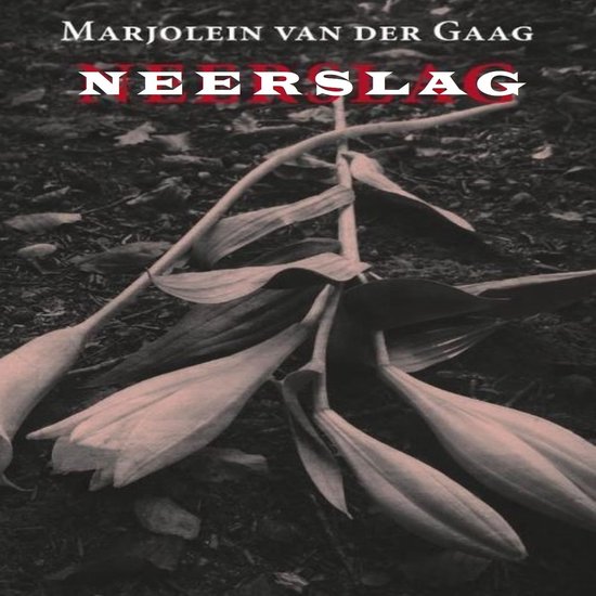 Neerslag - cover