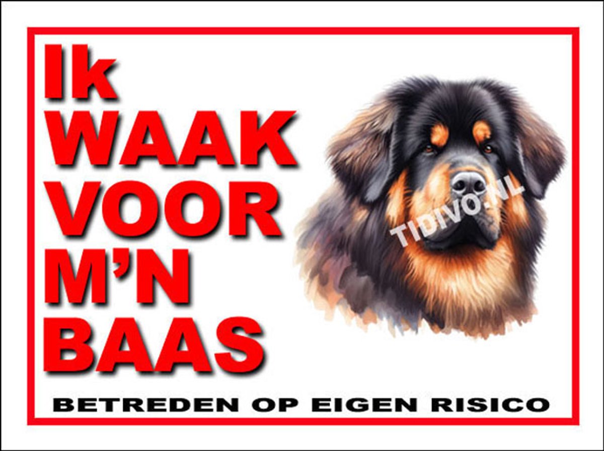 Tibetaanse Mastiff 9