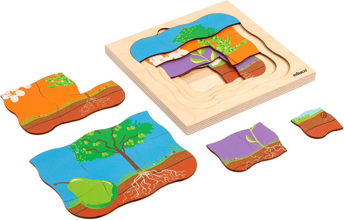 Groeipuzzel peer - Educo