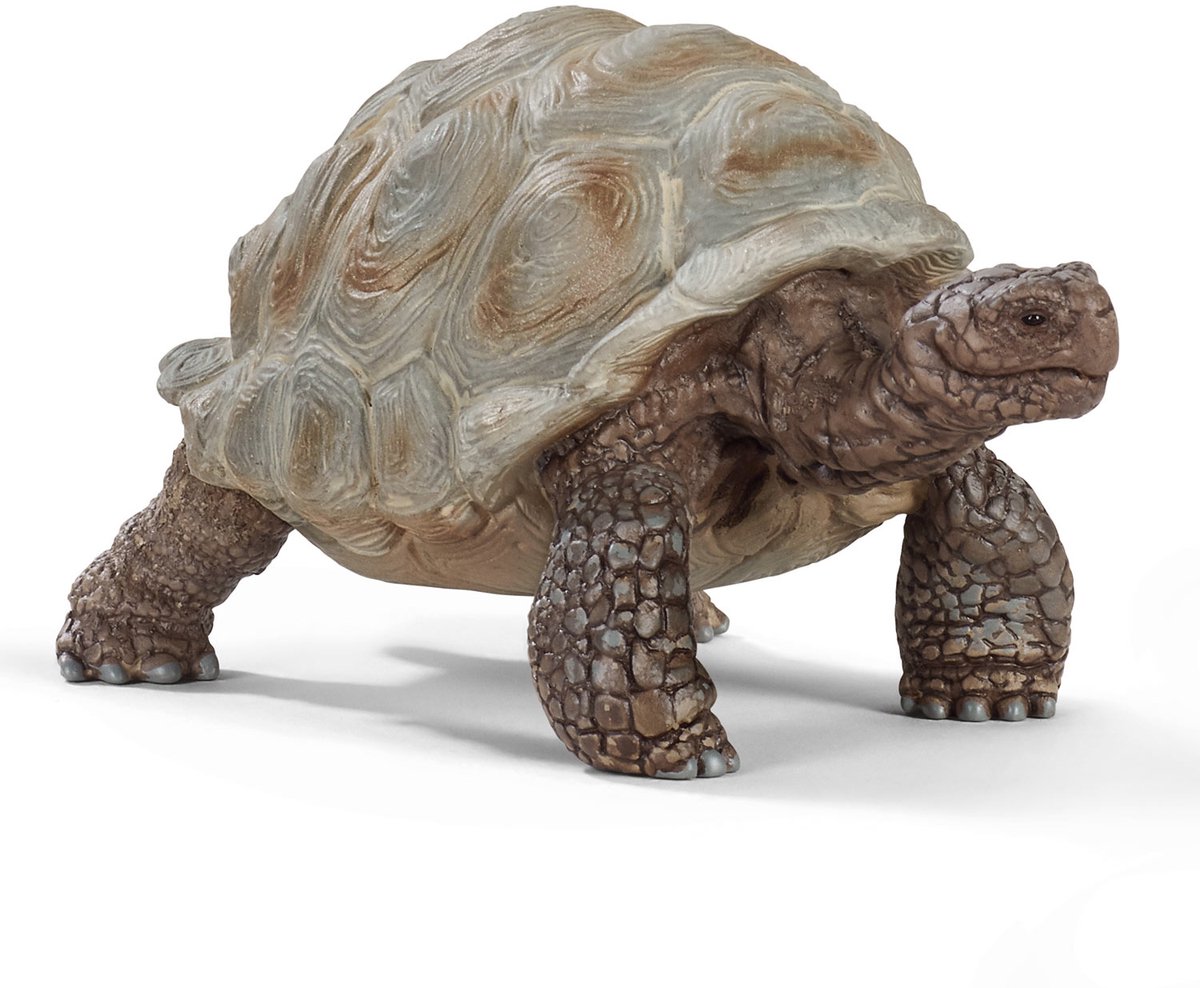 schleich WILD LIFE - Reuzenschildpad - Speelfiguur - Schildpad speelgoed - 14824 — afbeelding 2