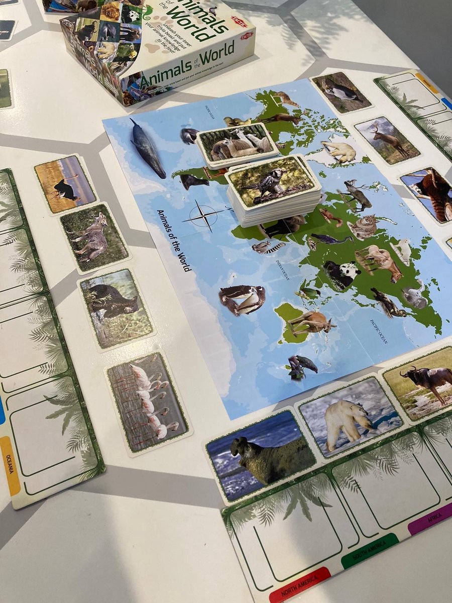 Tactic Dieren van de Wereld – Educatief spel – Leer de wilde dieren kennen – 200 Kaarten – 6 Speelborden met werelddelen — afbeelding 7