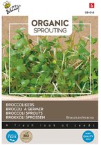 Buzzy® Organic Sprouting Broccolikers (BIO)