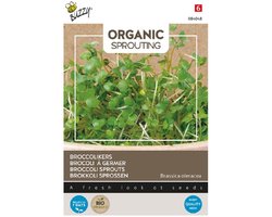 Buzzy® Organic Sprouting Broccolikers (BIO)