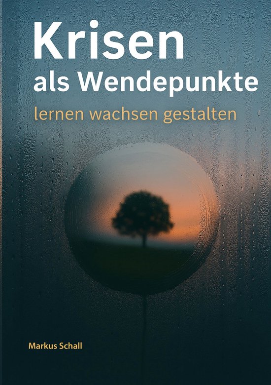 Krisen als Wendepunkte - cover