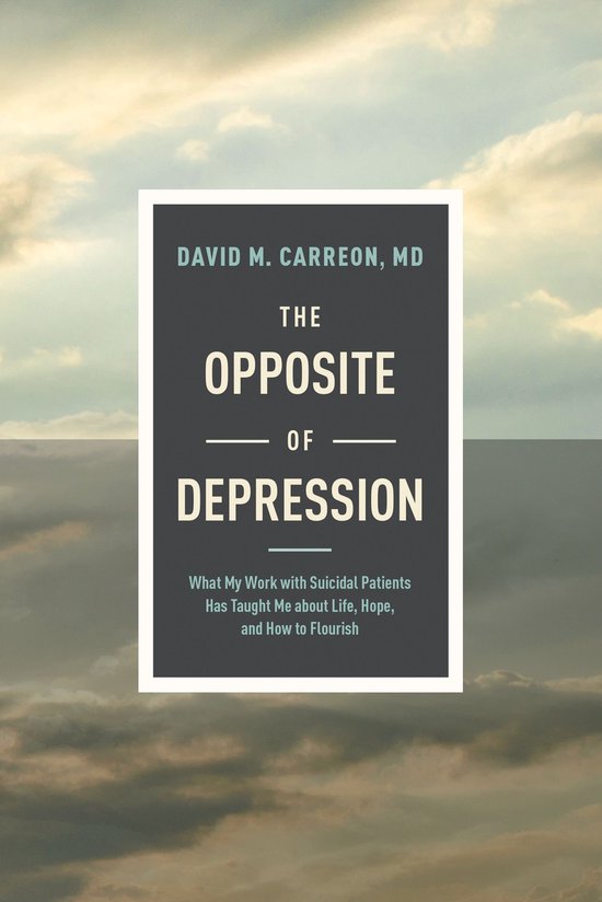 The Opposite of Depression - cover