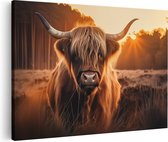 120 cm x 80 cm