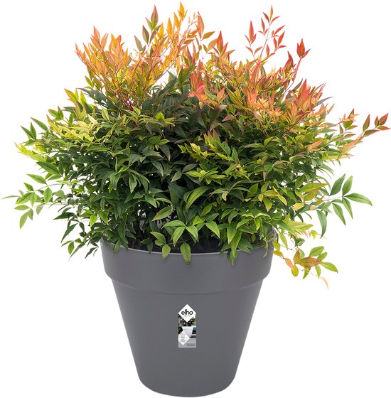 Elho Loft Urban Rond 20 - Pot De Fleurs pour Extérieur - Plastique 100% recyclé - Ø 19.3 x H 17.5 cm - Anthracite