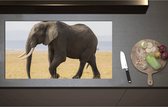 Inductieplaat Beschermer - Afrikaanse Olifant - 95x52 cm - 2 mm Dik - Inductie Beschermer - Bescherming Inductiekookplaat - Kookplaat Beschermer van Zwart Vinyl