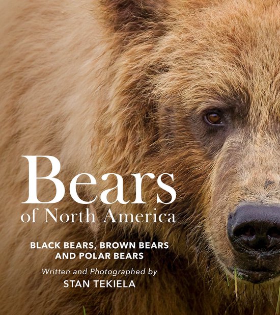 Favorite Wildlife- Bears of North America