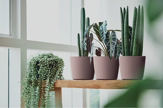 Prosperplast Milly - Pot de fleurs - résistant à la chaleur et aux UV - Anthracite Rond ⌀ 292mm