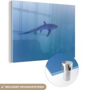 MuchoWow® Glasschilderij 40x30 cm - Schilderij acrylglas - Alopias haai - Foto op glas - Schilderijen