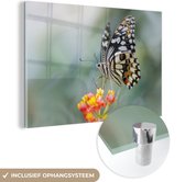 MuchoWow® Glasschilderij 180x120 cm - Schilderij acrylglas - Pages vlinder op bloem - Foto op glas - Schilderijen