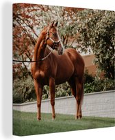 Toile Peinture Cheval - Arbre - Licou - 90x90 cm - Décoration murale