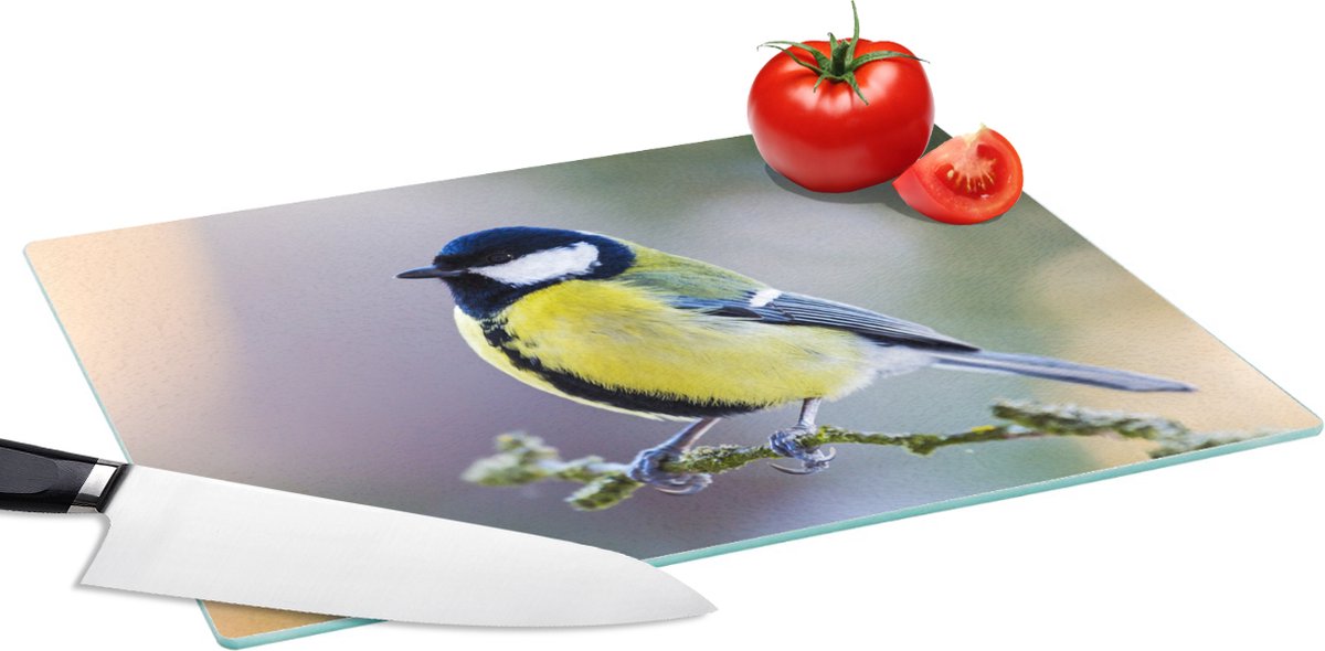 Glazen Snijplank - 39x28 - Koolmees - Vogel - Tak - Snijplanken Glas